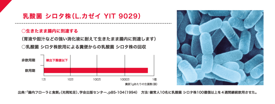 乳酸菌 シロタ株（L.カゼイ YIT 9029）