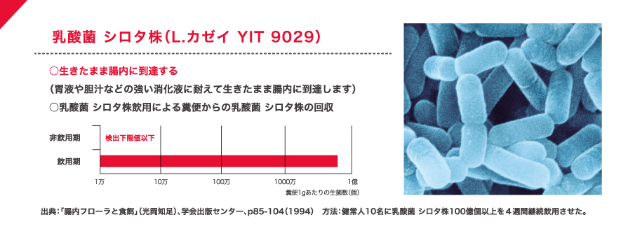 乳酸菌 シロタ株(L.カゼイ YIT 9029)