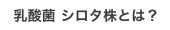 乳酸菌 シロタ株とは？