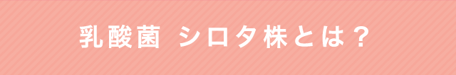 乳酸菌 シロタ株とは？