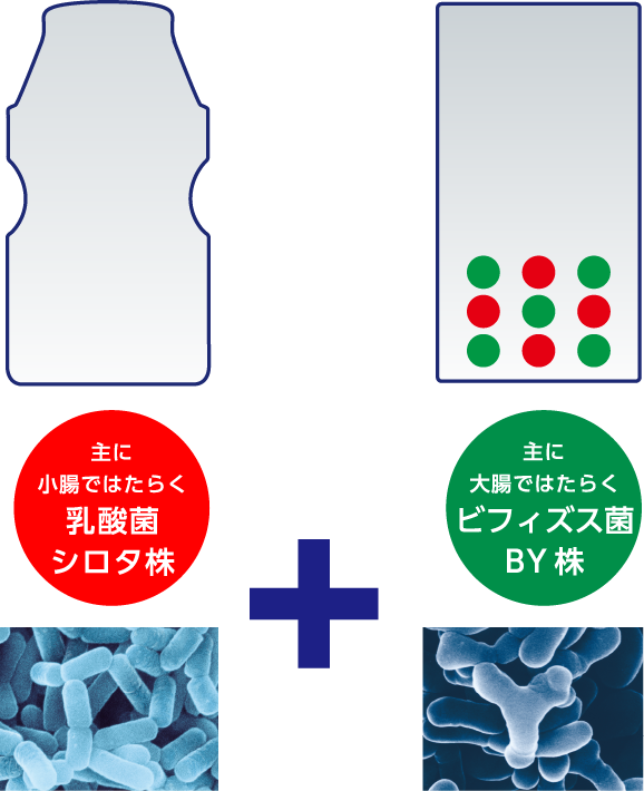 主に小腸ではたらく乳酸菌シロタ株+主に大腸で働くビフィズス菌BY株