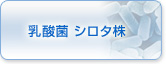 乳酸菌 シロタ株