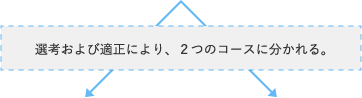 新卒採用情報2022 ヤクルト本社採用情報