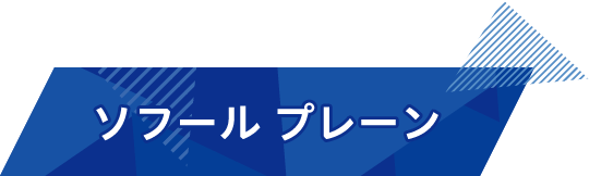 ソフールプレーン