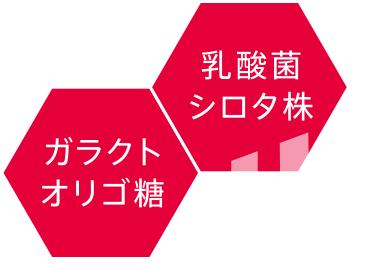 乳酸菌シロタ株 ガラクトオリゴ糖
