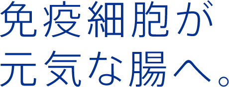 免疫細胞が元気な腸へ。