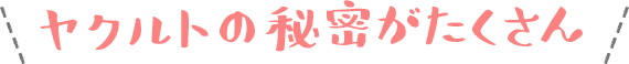 ヤクルトの秘密がたくさん！