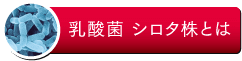 乳酸菌 シロタ株とは