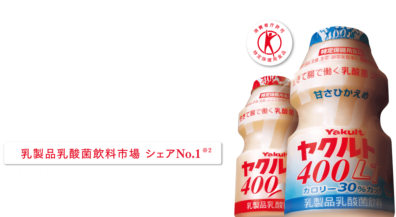 宅配限定 400億個の乳酸菌 シロタ株