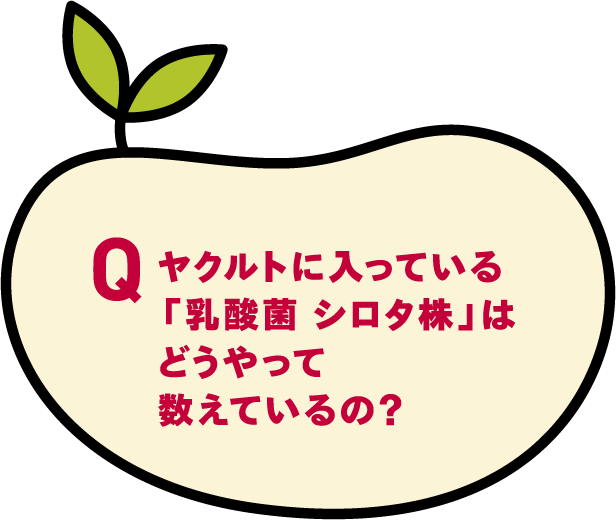 ヤクルトに入っている乳酸菌 シロタ株」はどうやって数えているの？