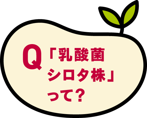 「乳酸菌シロタ株」って？