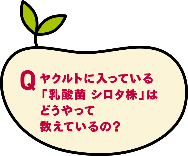 ヤクルトに入っている乳酸菌 シロタ株」はどうやって数えているの？