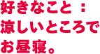 好きなこと：涼しいところでお昼寝。