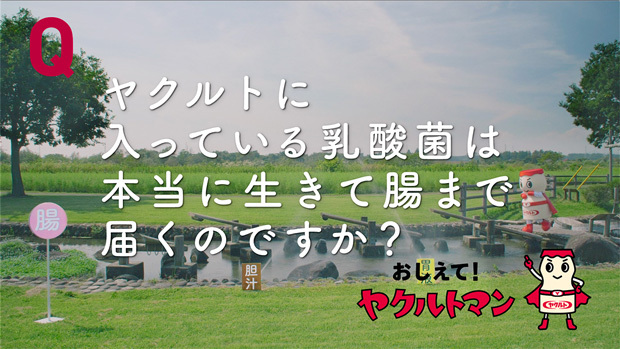 腸まで届く篇「おしえて！ヤクルトマン」