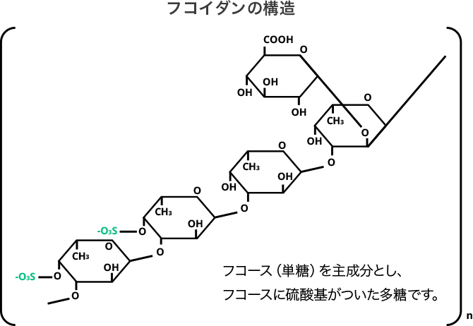 ヤクルトフコイダン｜ヤクルト薬品工業株式会社