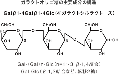 ガラクトオリゴ糖の主要成分の構造