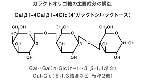 ガラクトオリゴ糖の主要成分の構造