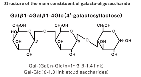 ガラクトオリゴ糖の主要成分の構造